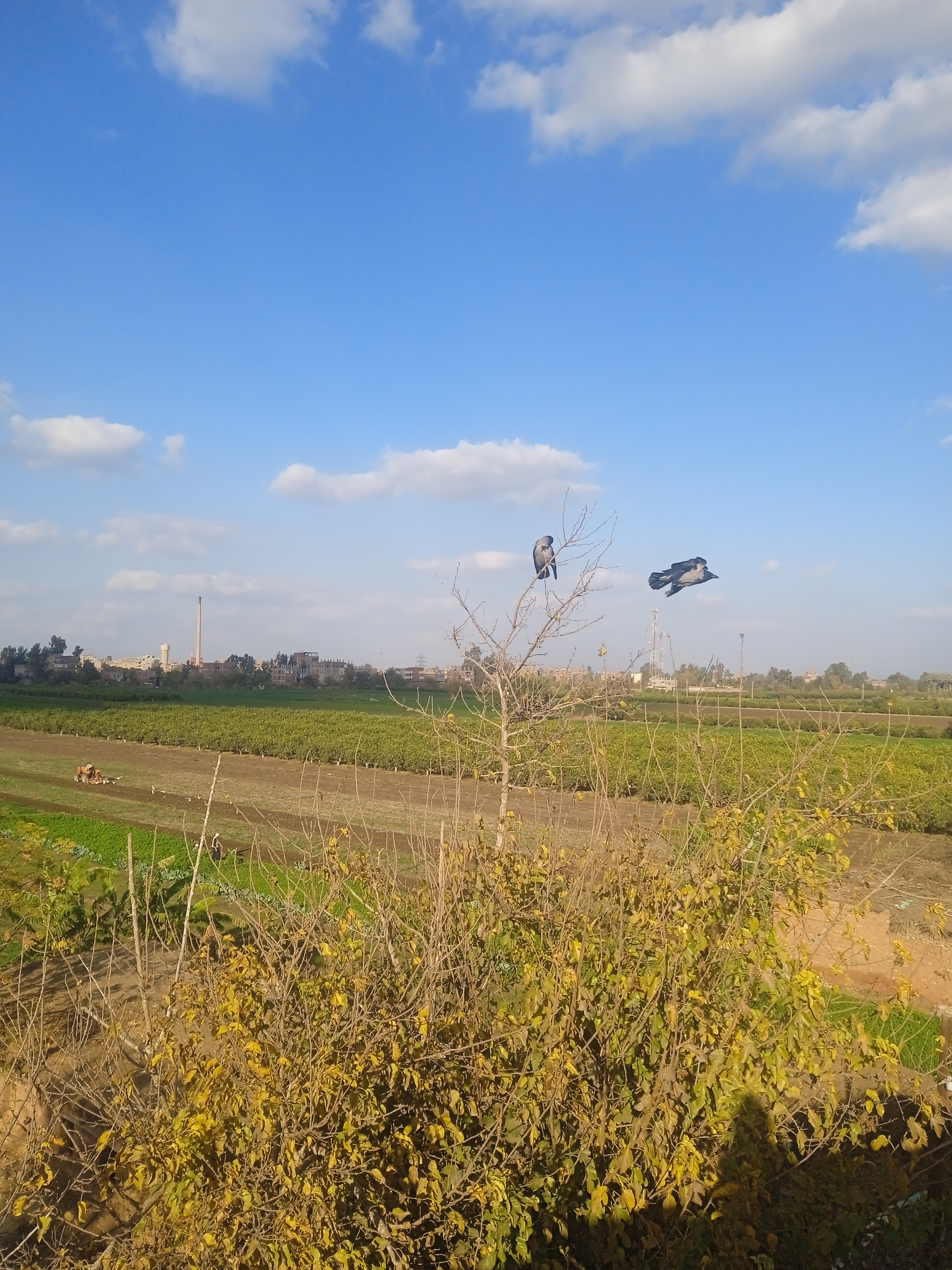 IMG_20241221_145927_1.jpg