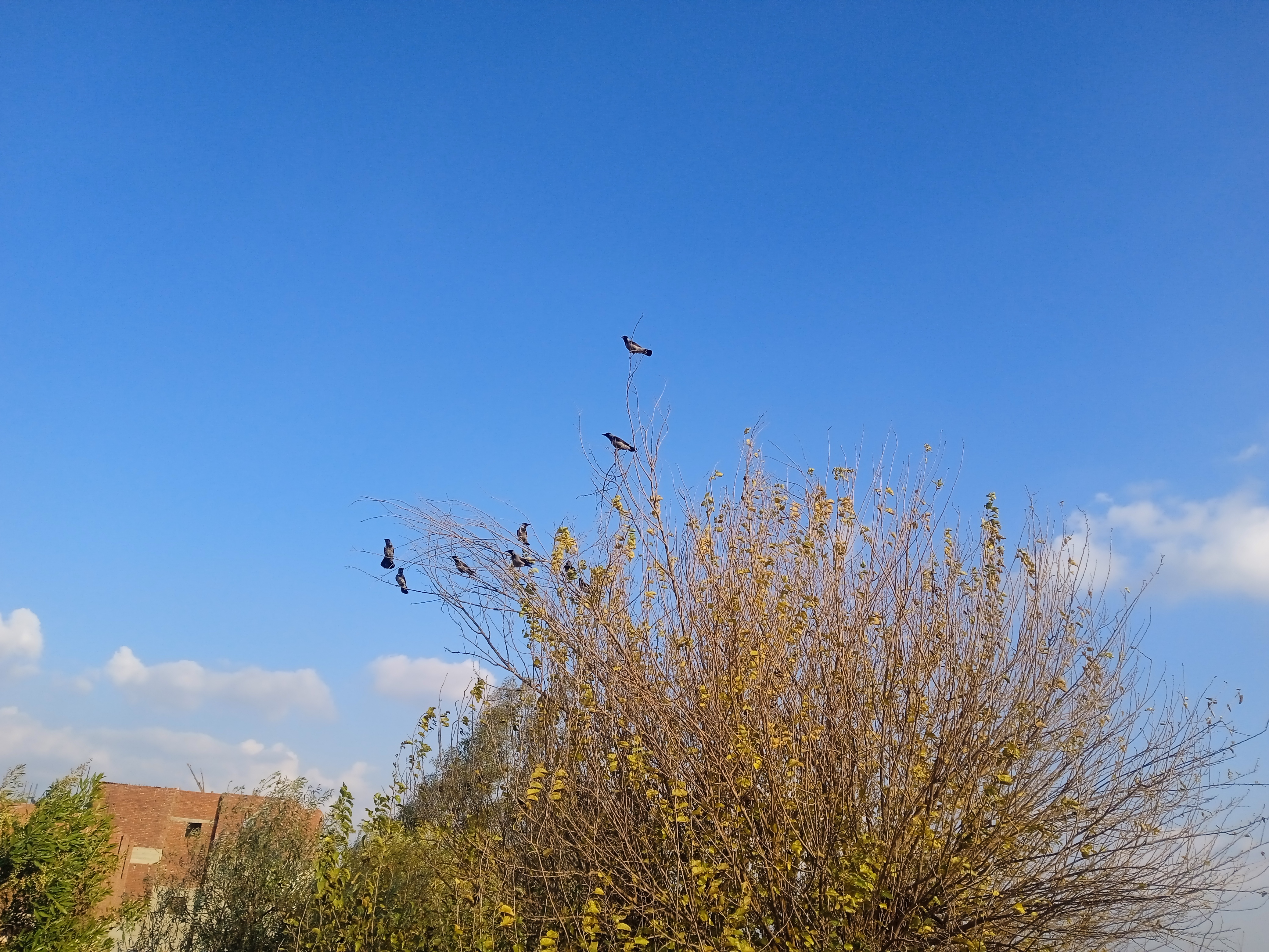 IMG_20250106_151417_1.jpg