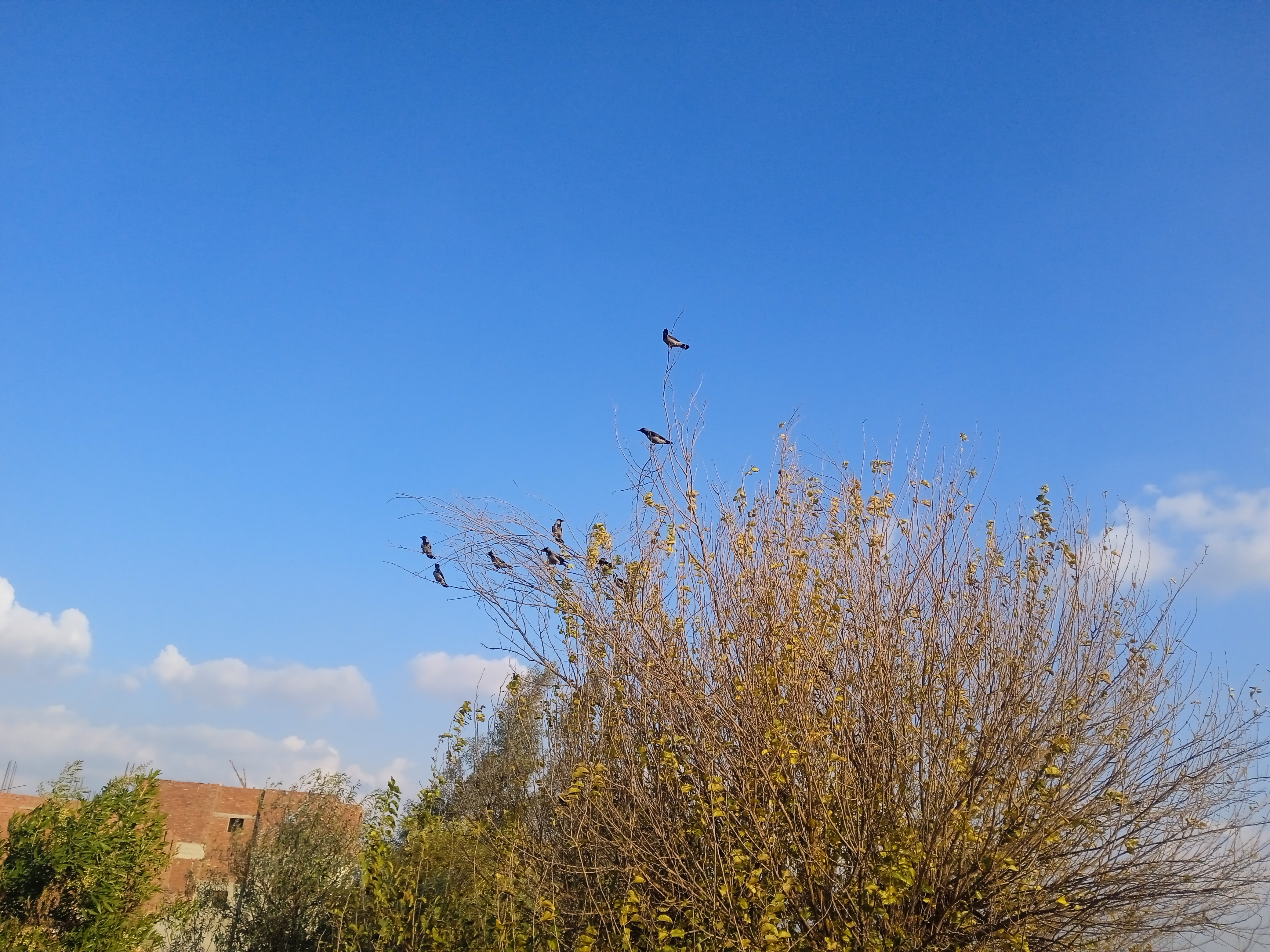 IMG_20250106_151419.jpg