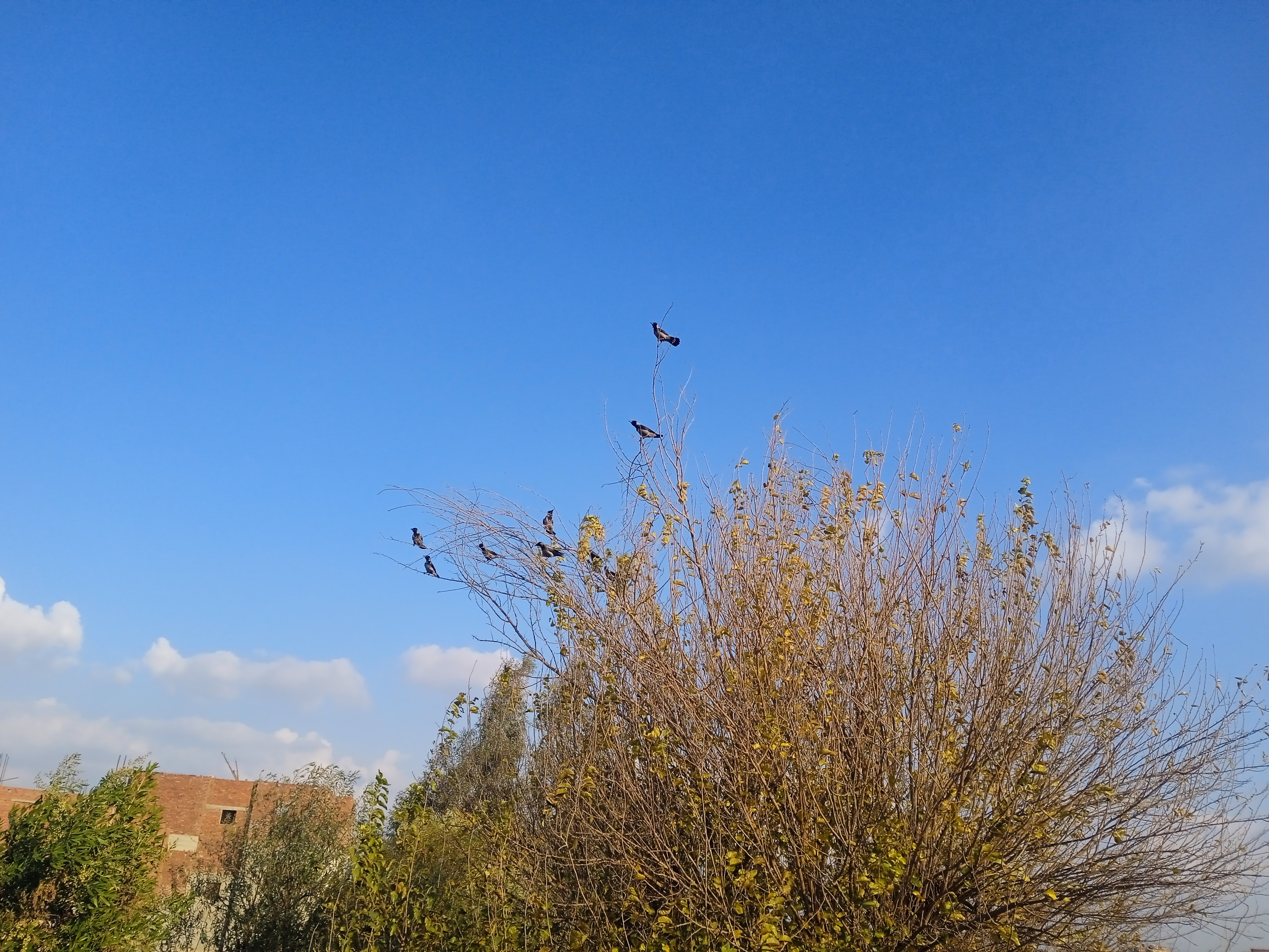 IMG_20250106_151419_2.jpg